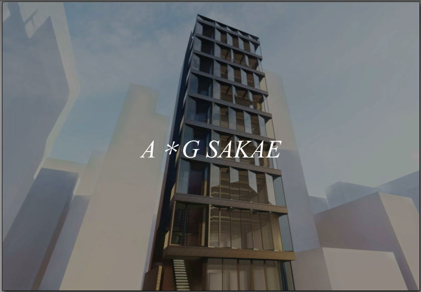 Ａ＊Ｇ　ＳＡＫＡＥ１