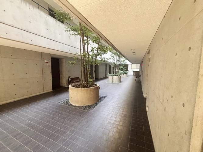 画像6ネスパルドＥＶＥ